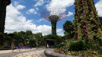 Gardens by the Bay - Singapore - My journey through Asia