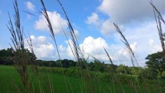 Nature Photography