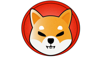 Shib Action- Coin pumps 76% after Elon Musk Tweet