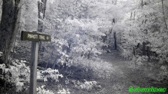 Snake Creek Gap Trailhead - Infrared Photography