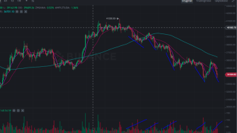 Monday market review