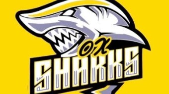 0X Sharks – NFTs That Make Money in 2022