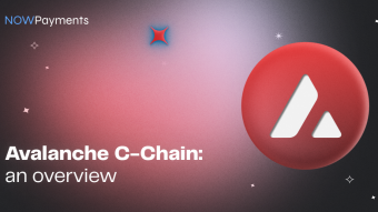 Avalanche C-Chain: A High-Speed, Low-Cost Blockchain Solution for Cryptocurrency Payments