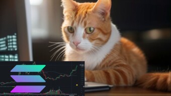 Solana: Worth Buying Now?