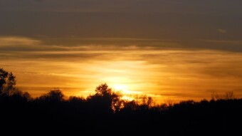 Another beautiful sunny day. Poland Golden Autumn Full Moccs - My Actifit Report Card: October 17 2024