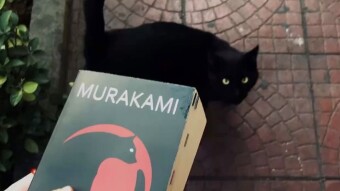Haruki Murakami’s Kafka on the Shore: A Modern Masterpiece Reviewed