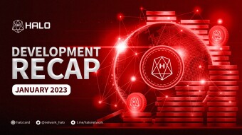 HALO Network January Development Recap