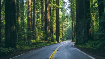 Learning to Unlearn to Relearn: Is this the time?