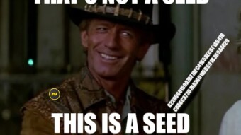 PSA: Many Insecure Banano Vault Seeds Have Been Compromised