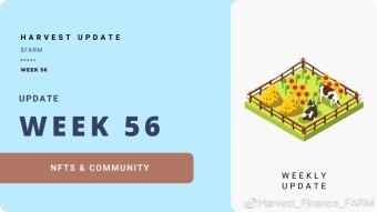 🏦 第56周复盘 🏦