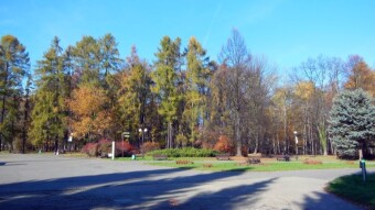 Today it smelled like spring - it's still beautiful!