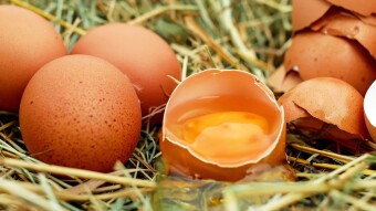Raw eggs and health