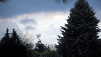 Weather Armageddon, temperature drop by 15 degrees in 12 hours - My Actifit Report Card: March 11 2023