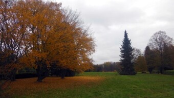 Not as warm anymore, but still beautiful - My Actifit Report Card: October 31, 2024