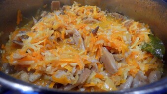 Stew from forest mushrooms, this time the tripe with Indian oyster Mushroom