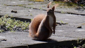 Sunny Tuesday, but there was a strange loss of energy - My Actifit Report Card: March 27 2024
