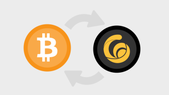Where And How To Buy Radio Caca Token RACA? RACA Metaverse And Raca NFT Marketplace Future Prospects