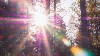 Global Wealth Potential from Solar Energy