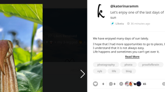 Earning Crypto for Posting Photos