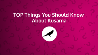 Top Things You Should Know About Kusama Network (KSM)