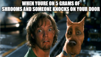 Today's crypto memes