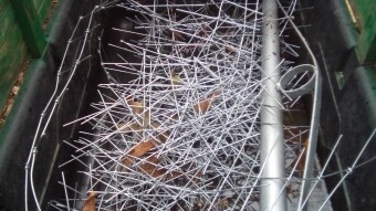 Apocalyptic Homesteading (Day 33)