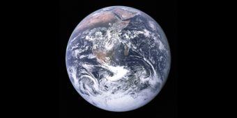 An Introduction to Technoecology: An analogy between biological systems and human activities