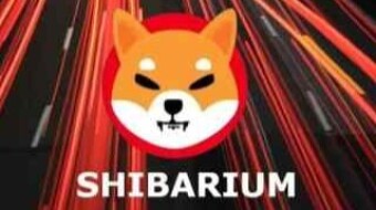 Shib making plans