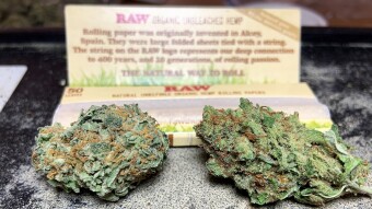 Happy Hemp Day - Wedding Cake & Blue Lime Pie While Self Quarantining Thinking About What Outcomes We May See...
