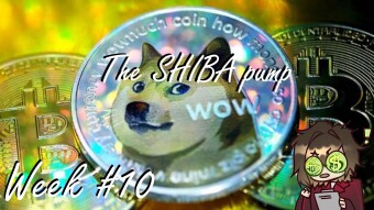 Hodling 11 shitcoins - week 10 - The big SHIB pump