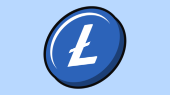 Cryptocurrency Transaction Fees Surge as Bitcoin and Ethereum Users Shift Towards Litecoin