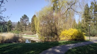 Friday sunny and relatively warm - My Actifit Report Card: April 3, 2026