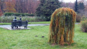 On such a rainy day, only Karlik and Karolinka stayed in the park - My Actifit Report Card: November 5 2022