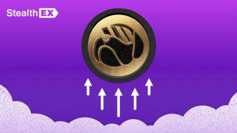 Hoge Finance Price Prediction: Is HOGE Coin A Good Investment?