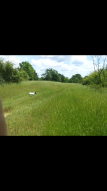 Memorial Day Weekend on Murchison Farm!