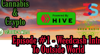 Cannabis & Crypto Hosted by Skylinebuds Live on Grow Radio In CannaCurate - Episode 1