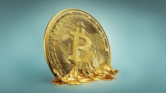 Bitcoin is Melting! What should you do!