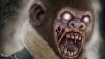It's time for a Totally Fungible Ape! EXCLUSIVE NFT DROP FOR LP PROVIDERS