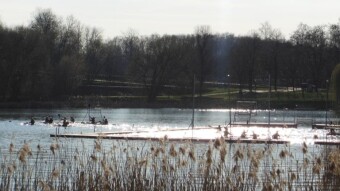Another pleasant day, at least until noon - My Actifit Report Card: April 13 2023