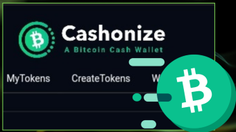 DeFi Dreams Made Easy – Say Hello to Cashonize Wallet!