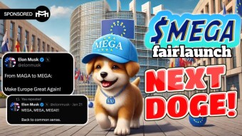 MEGA Fair Launch: Exponential Growth at 72 Hours