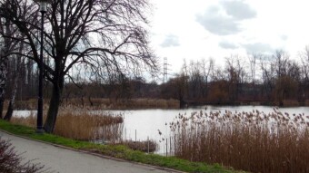 A warm spring Sunday and a nice walk - My Actifit Report Card: February 25 2024