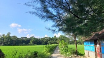 Nature Photography.