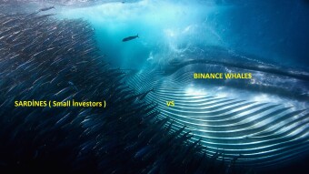 Binance is the stock market where whales hunt sardines.