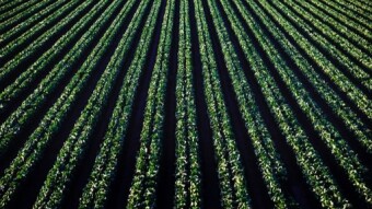 Defi and Yield Farm with OKEx
