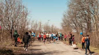 A walk in the woods and the finale of the trail series - "Deivka Trail"