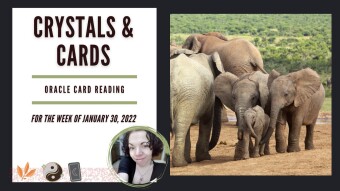 Crystals & Cards | Oracle Card Reading | For The Week of January 30, 2022