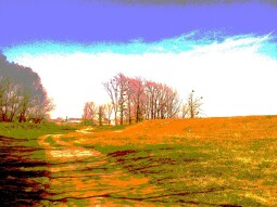 Reverie