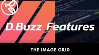 D.Buzz Features: The Image Grid