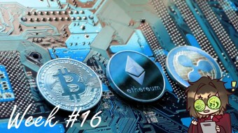 Hodling 11 shitcoins - week 16 - crypto dips, shitcoins HOLD